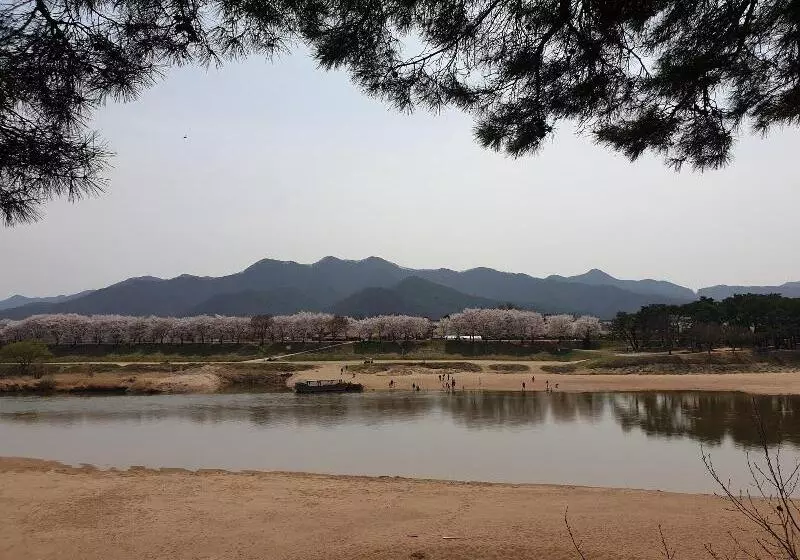 تختخواب و صبحانه Okyeon Jeongsa