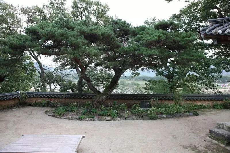 تختخواب و صبحانه Okyeon Jeongsa