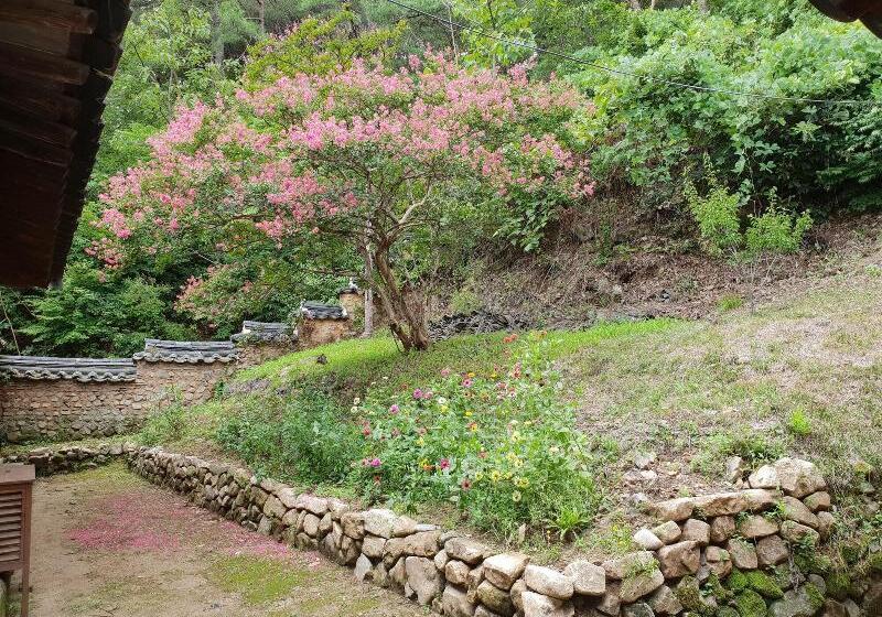 مبيت وإفطار Okyeon Jeongsa