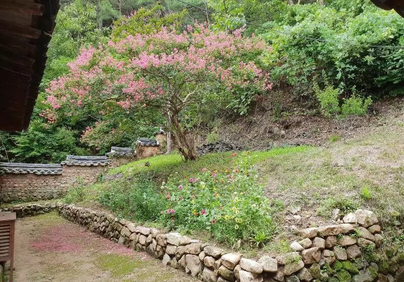 تختخواب و صبحانه Okyeon Jeongsa