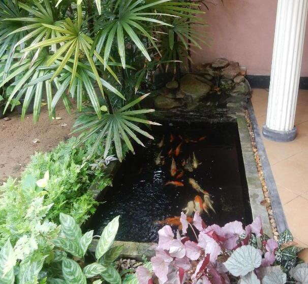 مبيت وإفطار Sisanda Residence