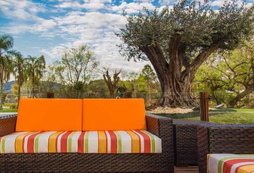 ホテル Ibis Igrejinha