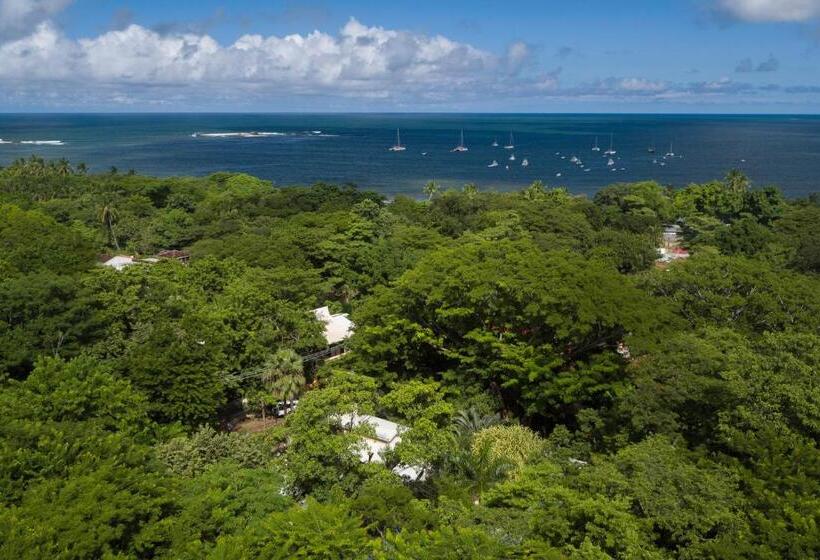 The Breeze Hotel & Villas