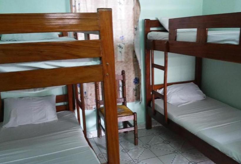 هاستل Safari Inn