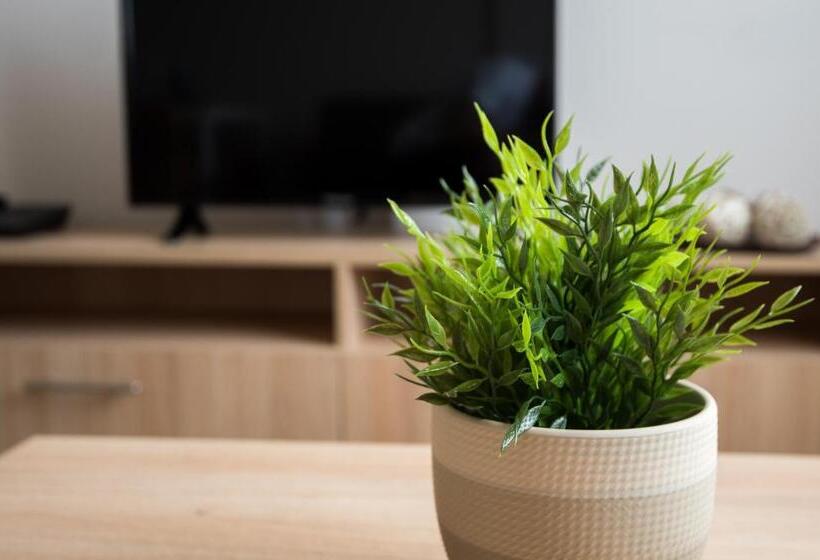 בית מלון כפרי Court Inn