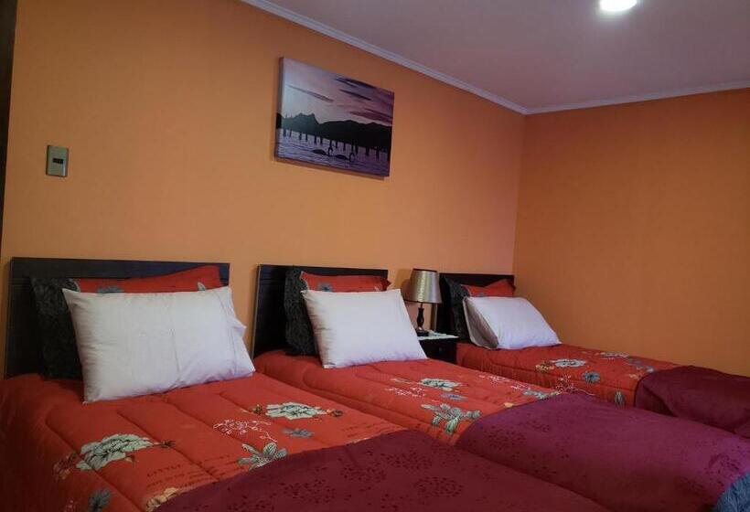 호스텔 Hostal Nataly