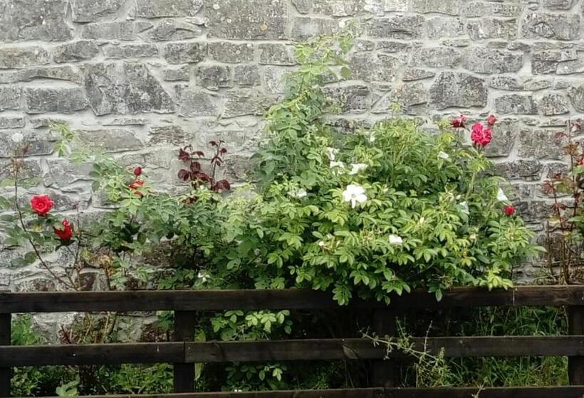 住宿加早餐 Augherea House