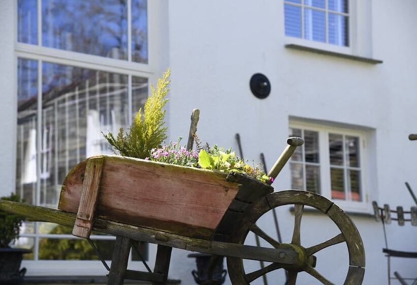 צימר Padstow Townhouse