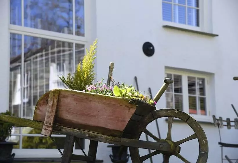 Bed and Breakfast Padstow Townhouse