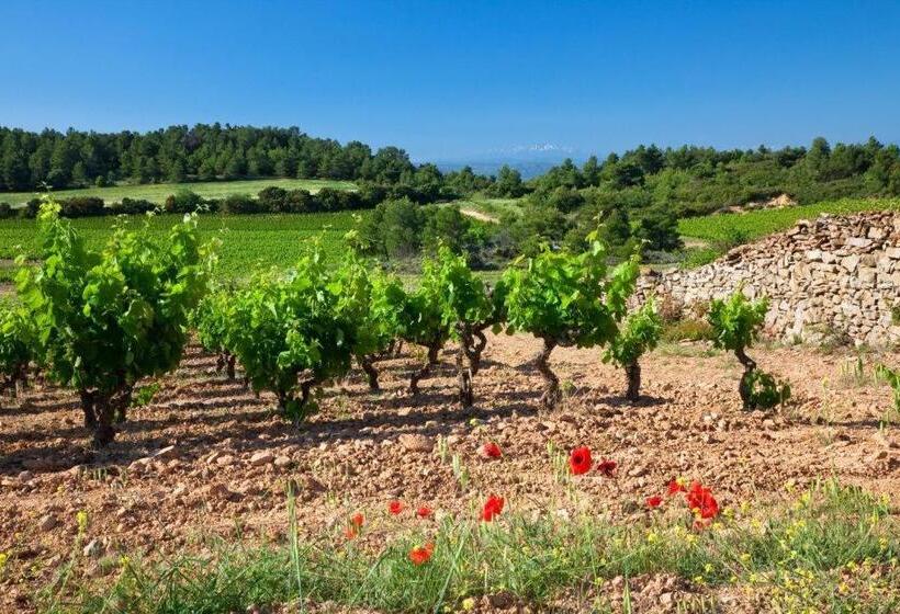 Отель Contact Hôtel Le Minervois   Hôtel & Restaurant Au Nord De Carcassonne