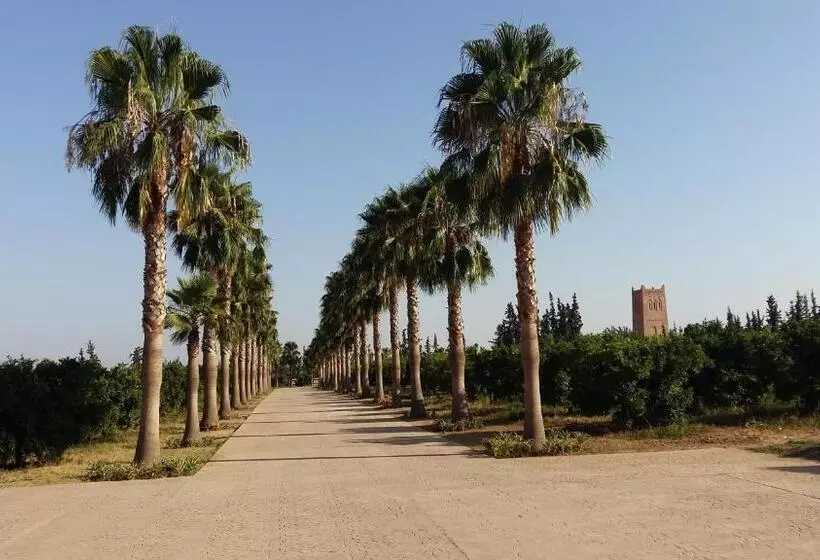 هتل Palais Claudio Bravo
