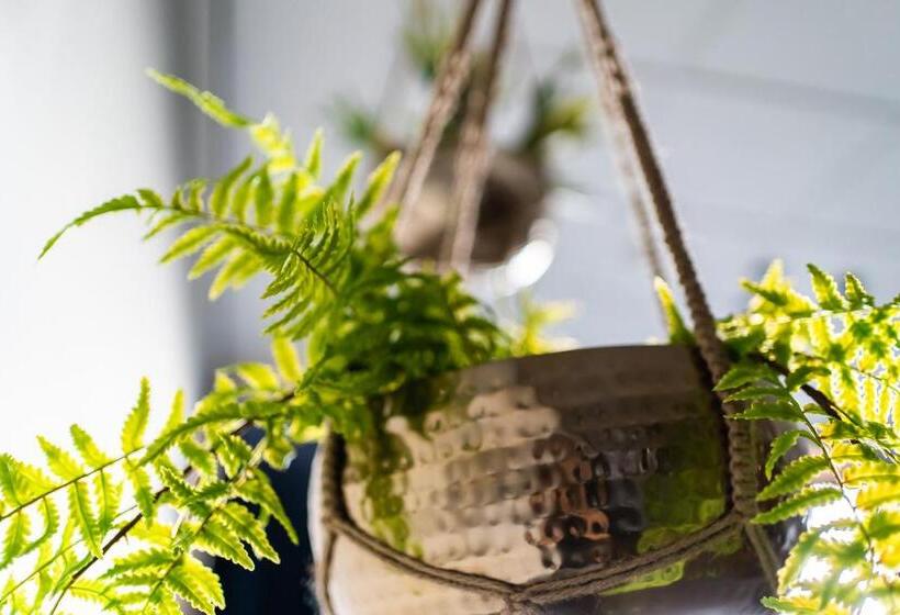 Onderwijshotel De Rooi Pannen Eindhoven