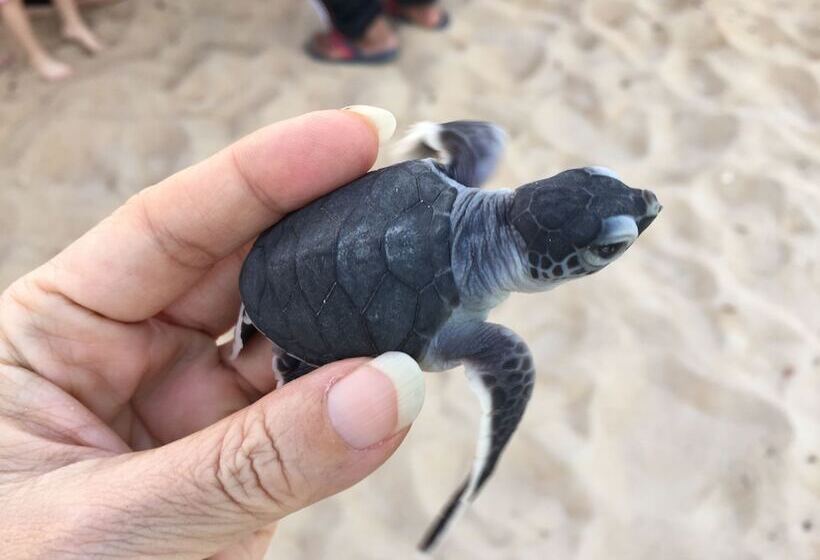 منتجع The Kasturi