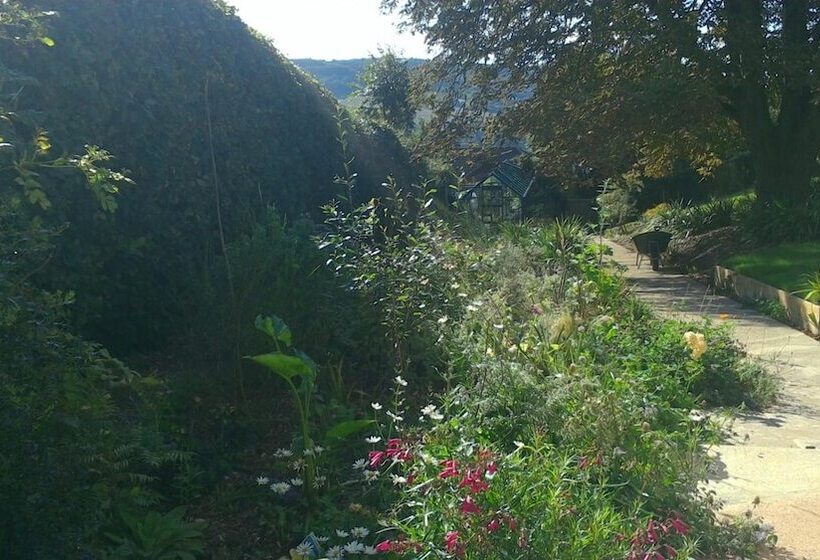 Sidmouth Bed & Breakfast