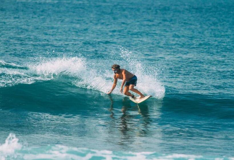 Hotel Rise   Bed & Breakfast