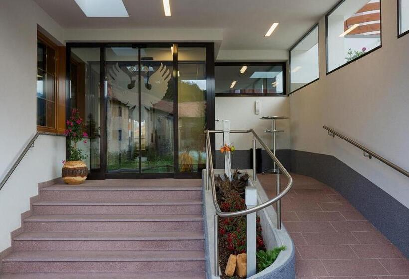 Отель Schwarzer Adler