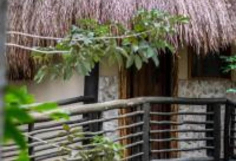 Indajani Hostel Tulum