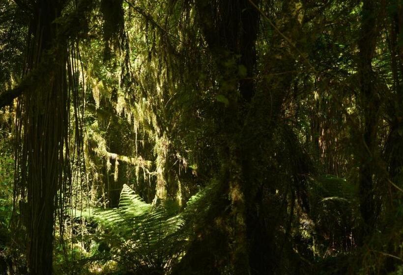 旅馆 Wilderness Accommodation