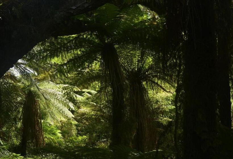 旅馆 Wilderness Accommodation