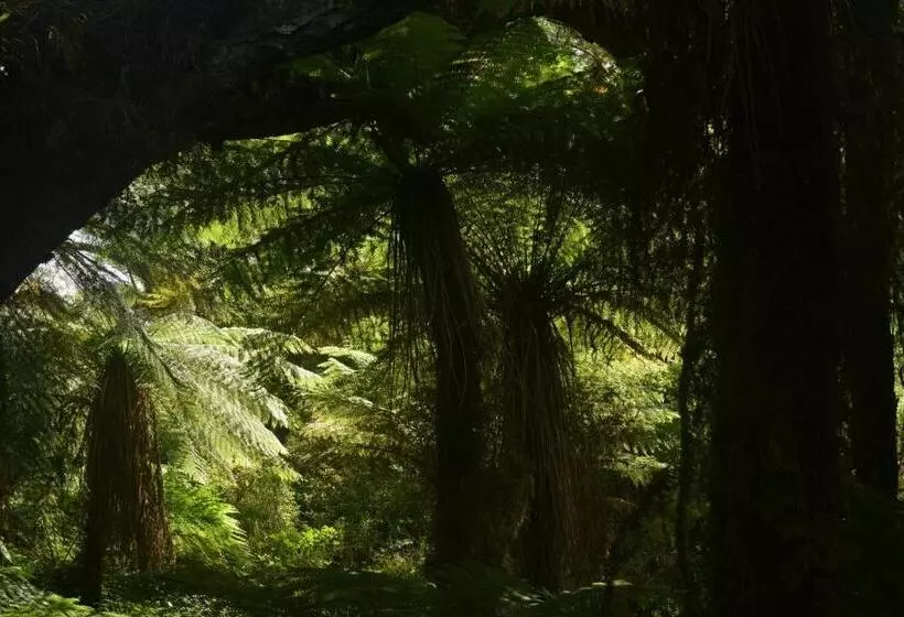 Retkeilymaja Wilderness Accommodation