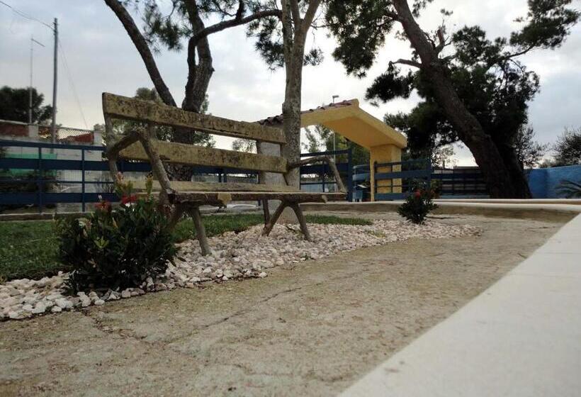 تختخواب و صبحانه I Girasoli Srls