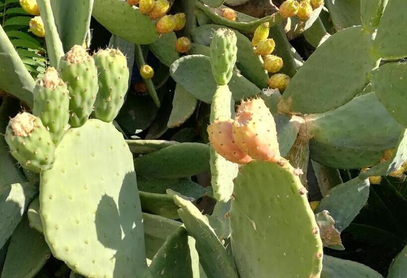 تختخواب و صبحانه I Girasoli Srls