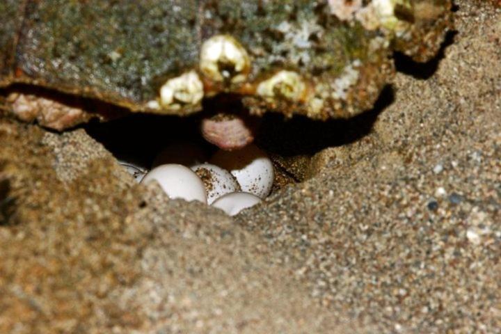 هتل Nostalgia World