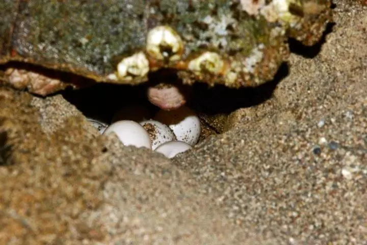 Hotelli Nostalgia World