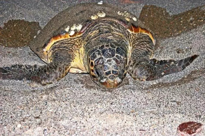 Hotelli Nostalgia World