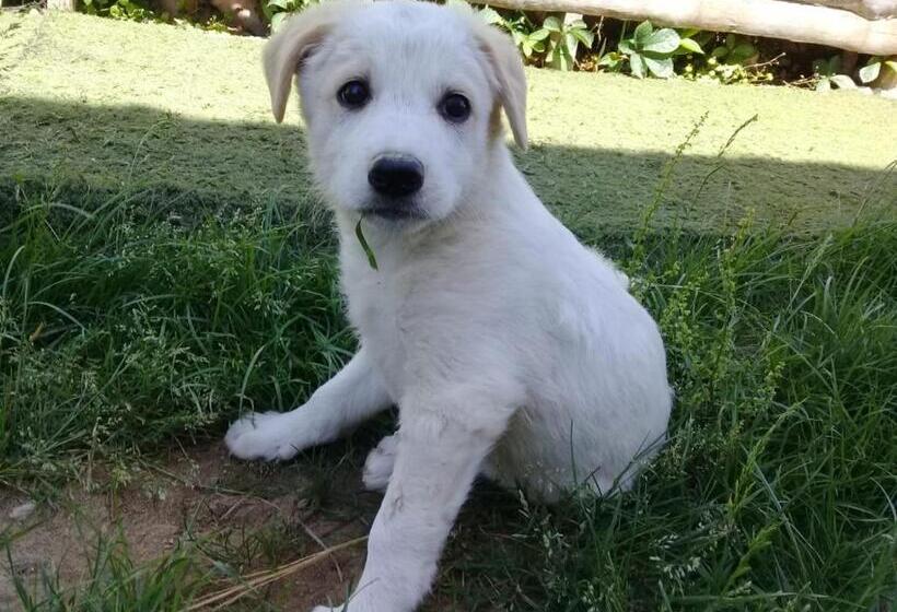 هتل Nostalgia World