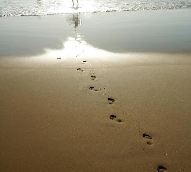 Отель Tiki Villas Rainforest Lodge   Adults Only