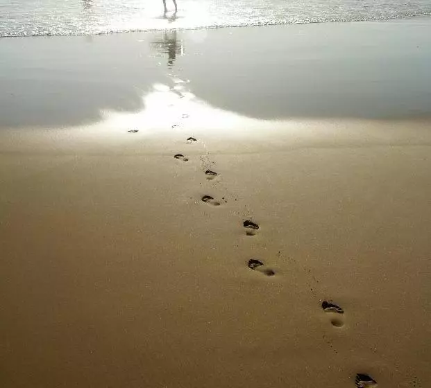 Hotelli Tiki Villas Rainforest Lodge   Adults Only