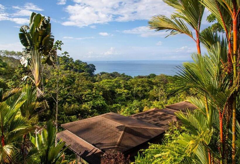 Отель Tiki Villas Rainforest Lodge   Adults Only