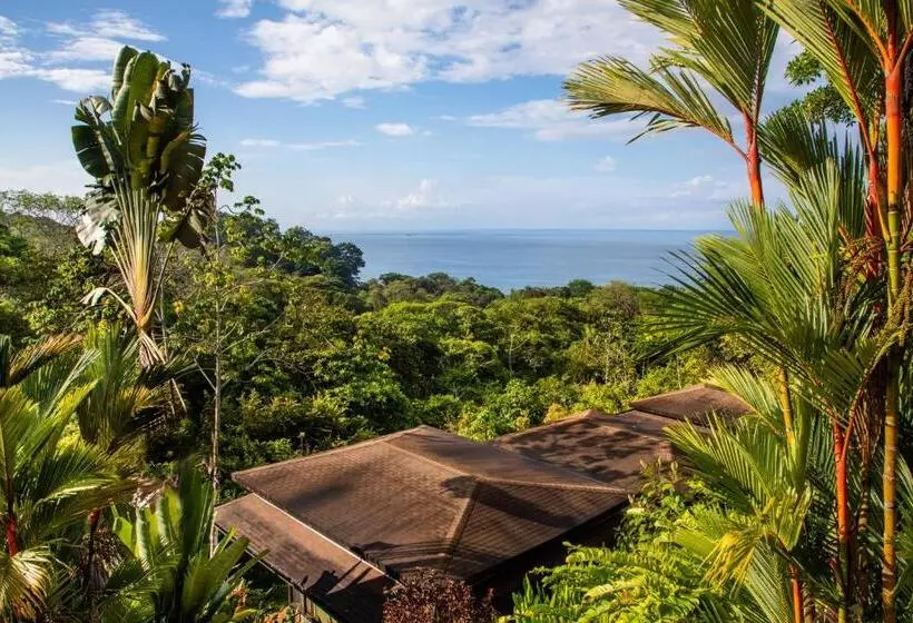 Hotelli Tiki Villas Rainforest Lodge   Adults Only