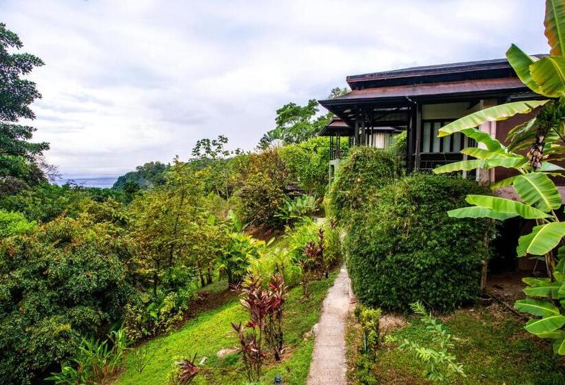 Отель Tiki Villas Rainforest Lodge   Adults Only