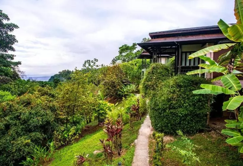 Hotelli Tiki Villas Rainforest Lodge   Adults Only