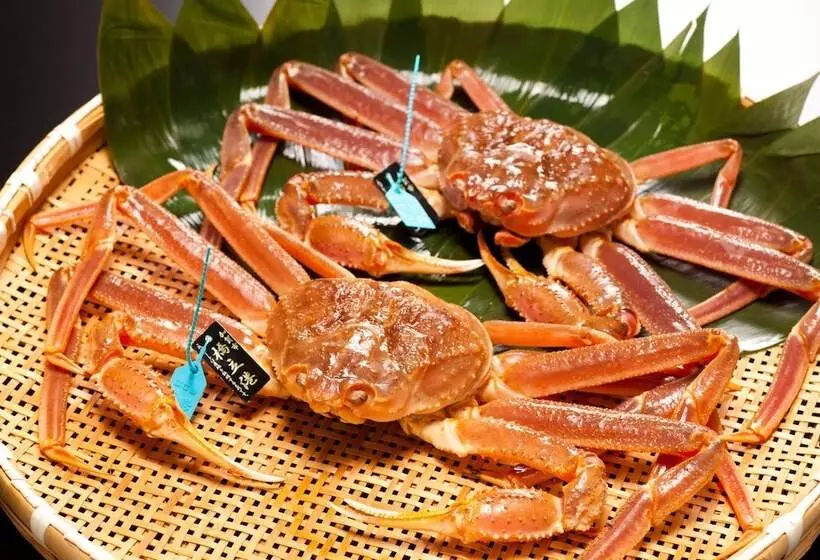 ریوکان Awazuonsen Kitahachi