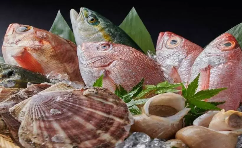 ریوکان Awazuonsen Kitahachi