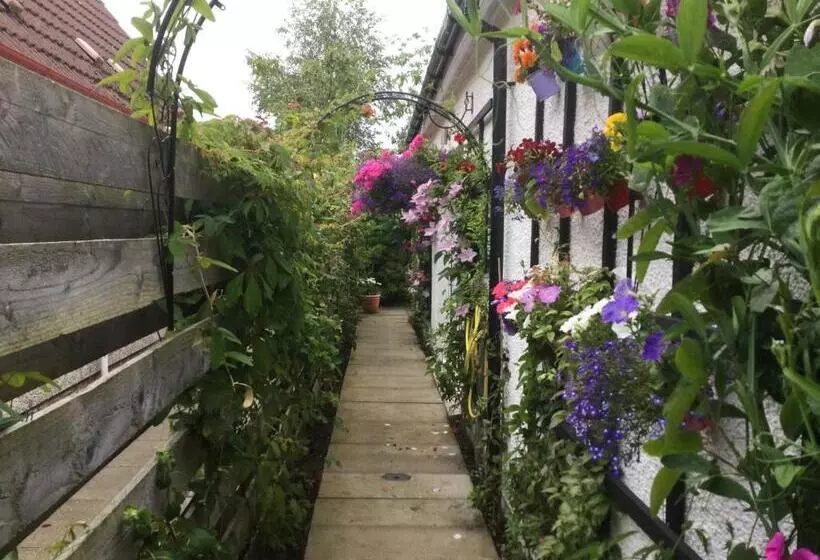 تختخواب و صبحانه Angel Cottage