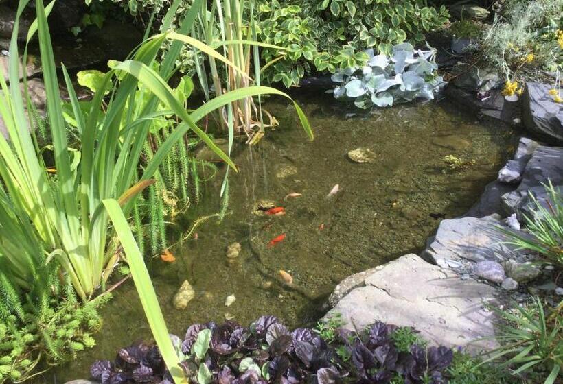 Bed and Breakfast Angel Cottage