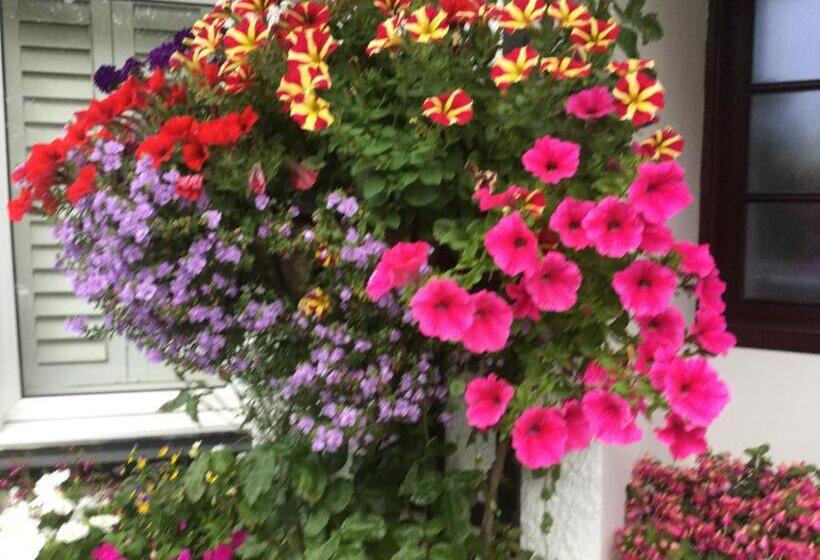 Bed and Breakfast Angel Cottage