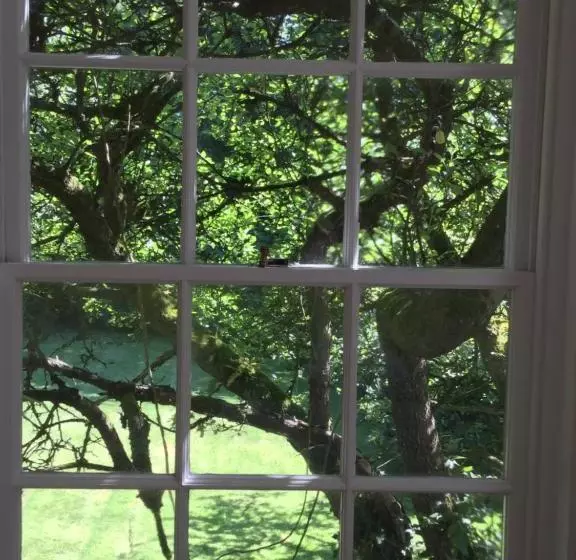 ベッドアンドブレックファースト Ballymote Country House