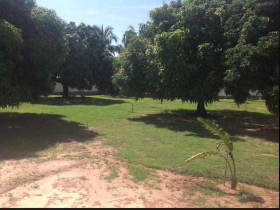 تختخواب و صبحانه Habitation Les Manguiers