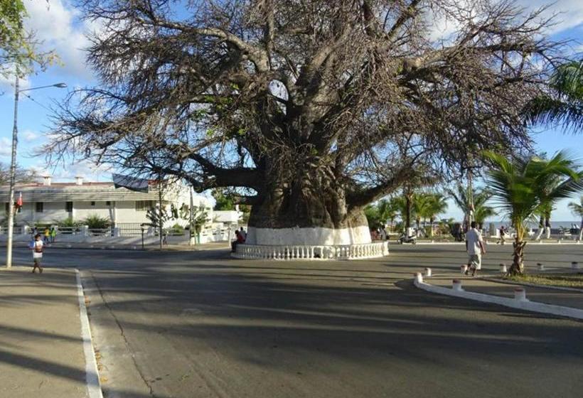 تختخواب و صبحانه Habitation Les Manguiers