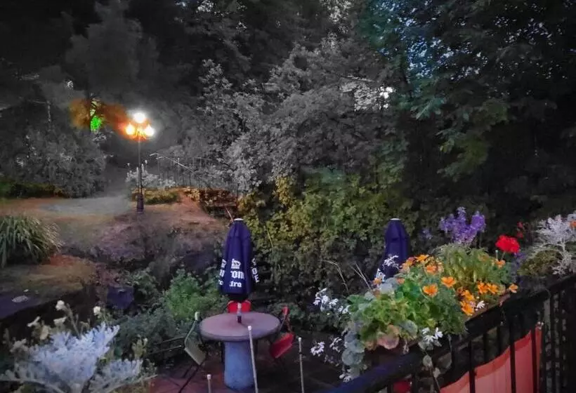 Gite Au P Tit Manoir B&b