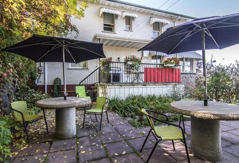 Gite Au P Tit Manoir B&b