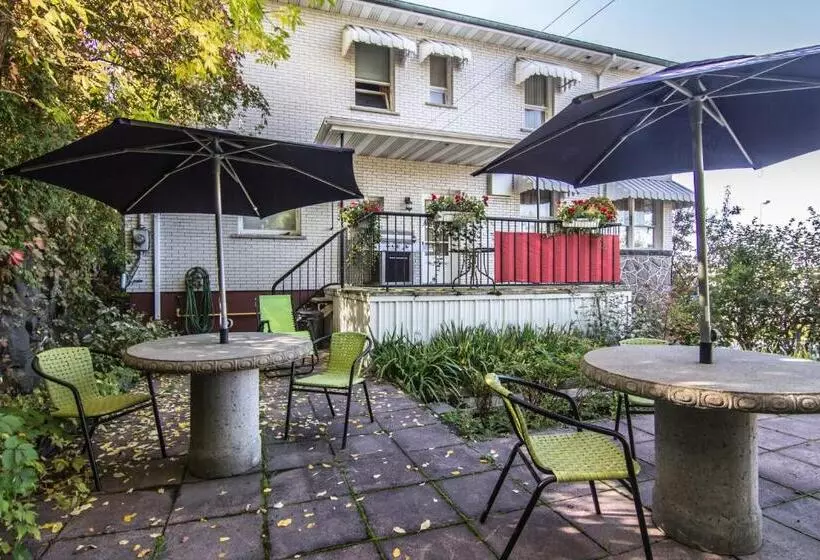 Gite Au P Tit Manoir B&b