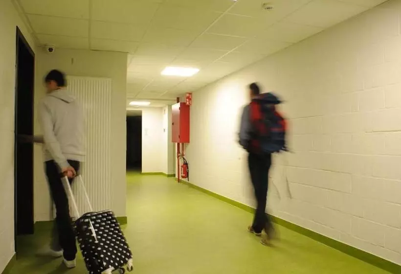 Hostel Bruegel
