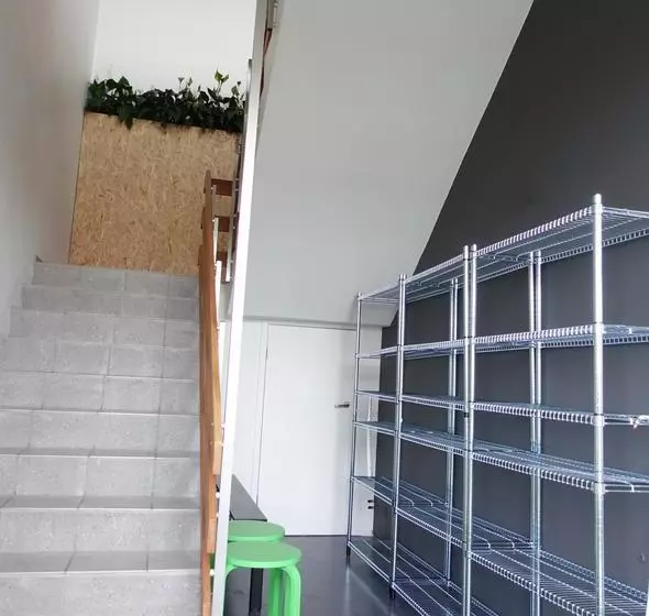 Vibrant Iceland Hostel