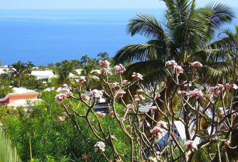 تختخواب و صبحانه La Kaz Nana Sakifo Maison D Hotes